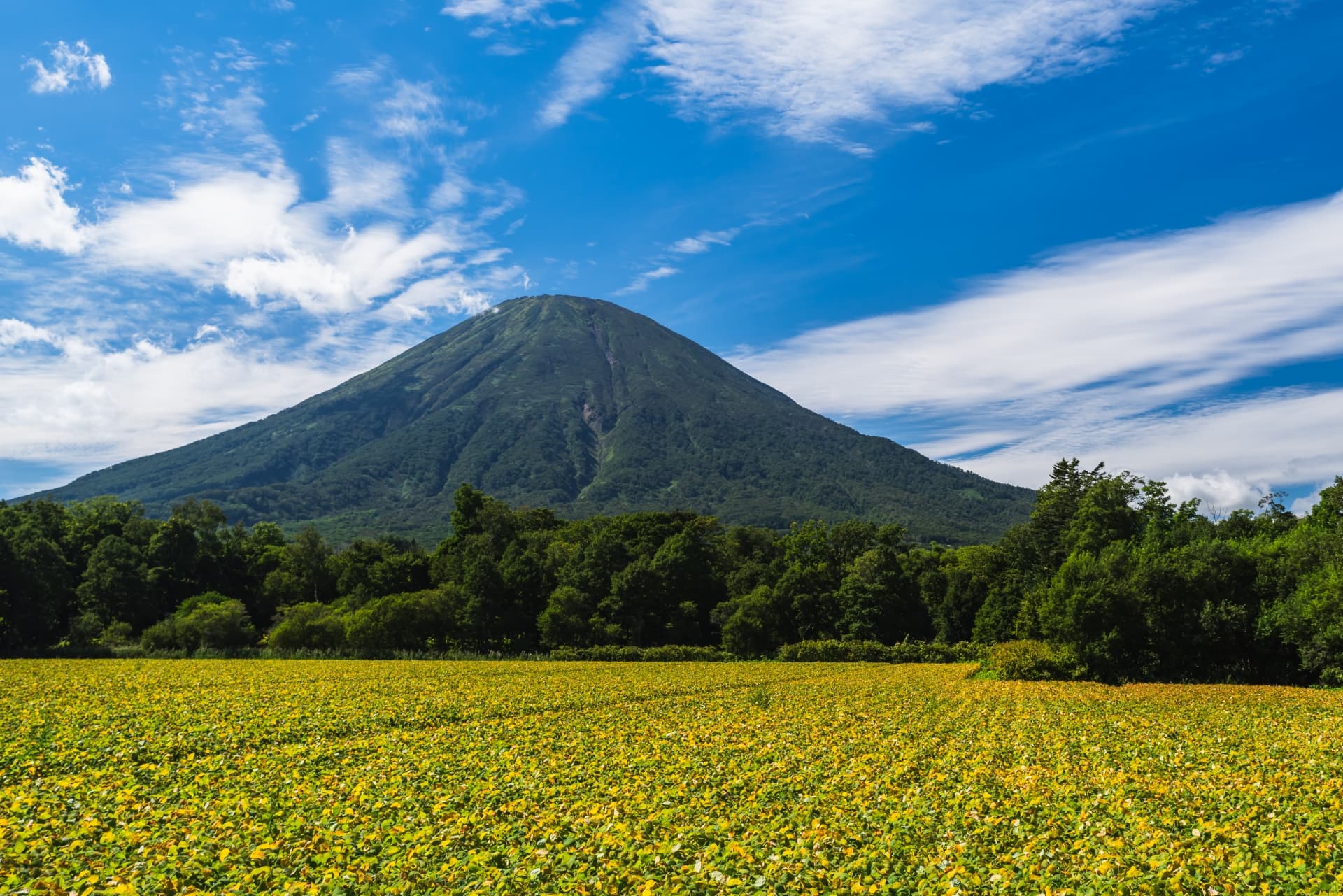 羊蹄山